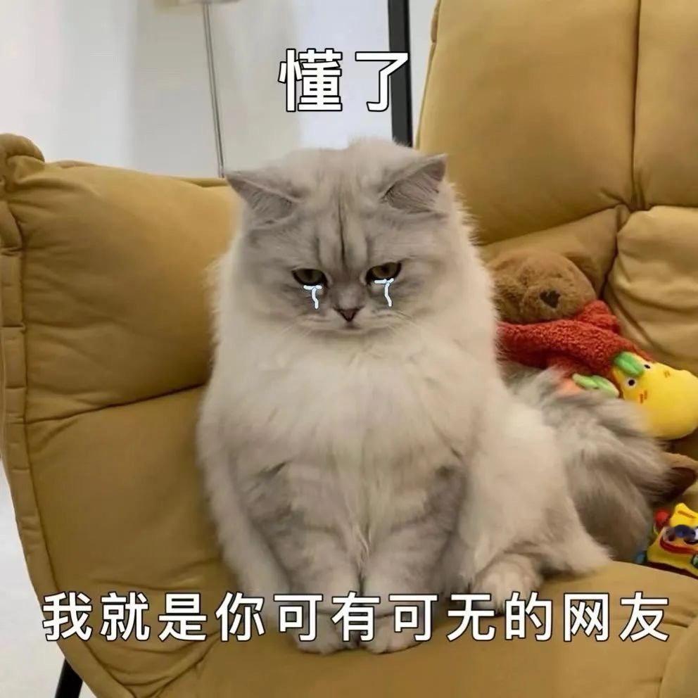 土土小猫咪表情包🐈