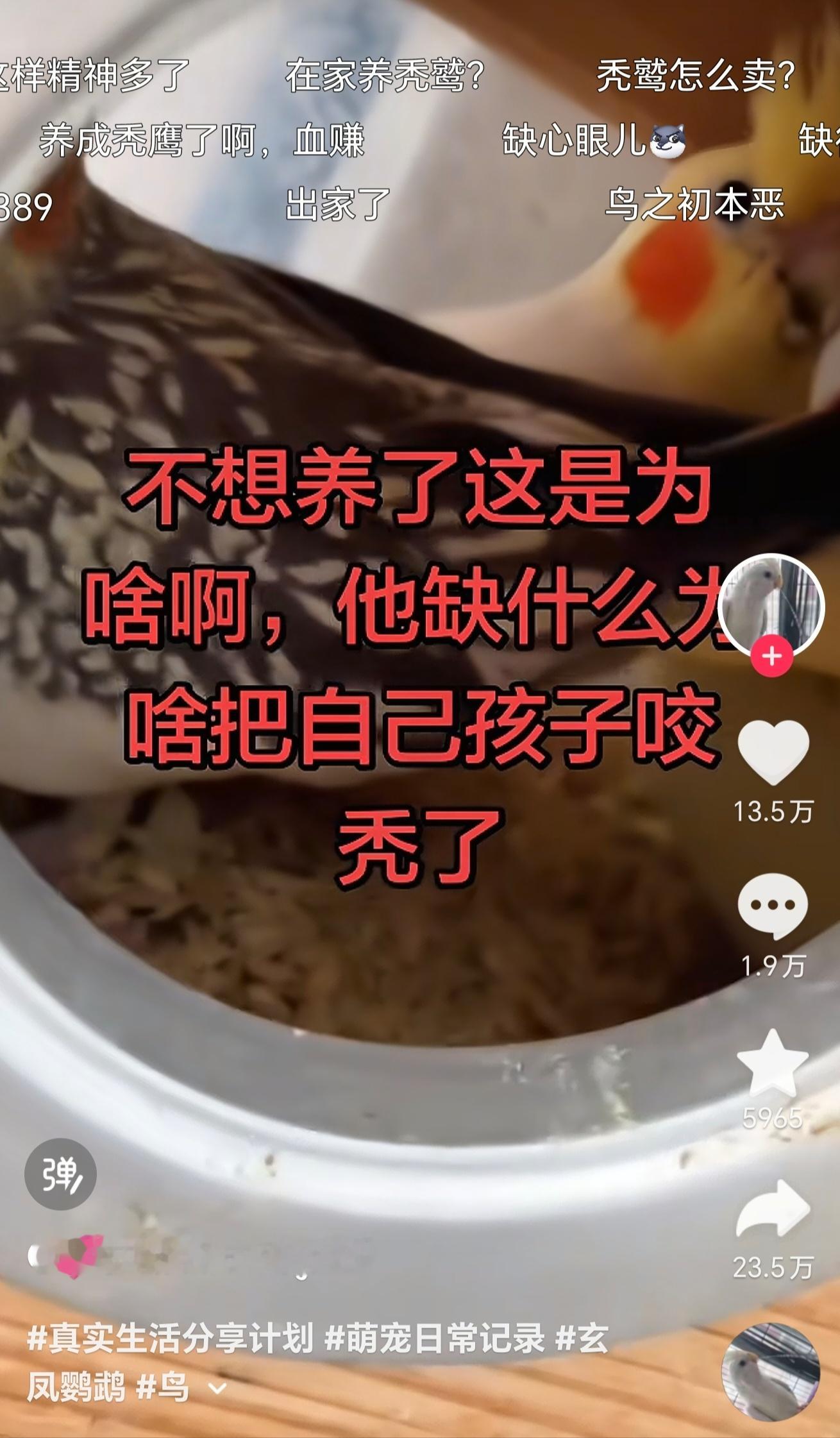 感觉有点诡异
