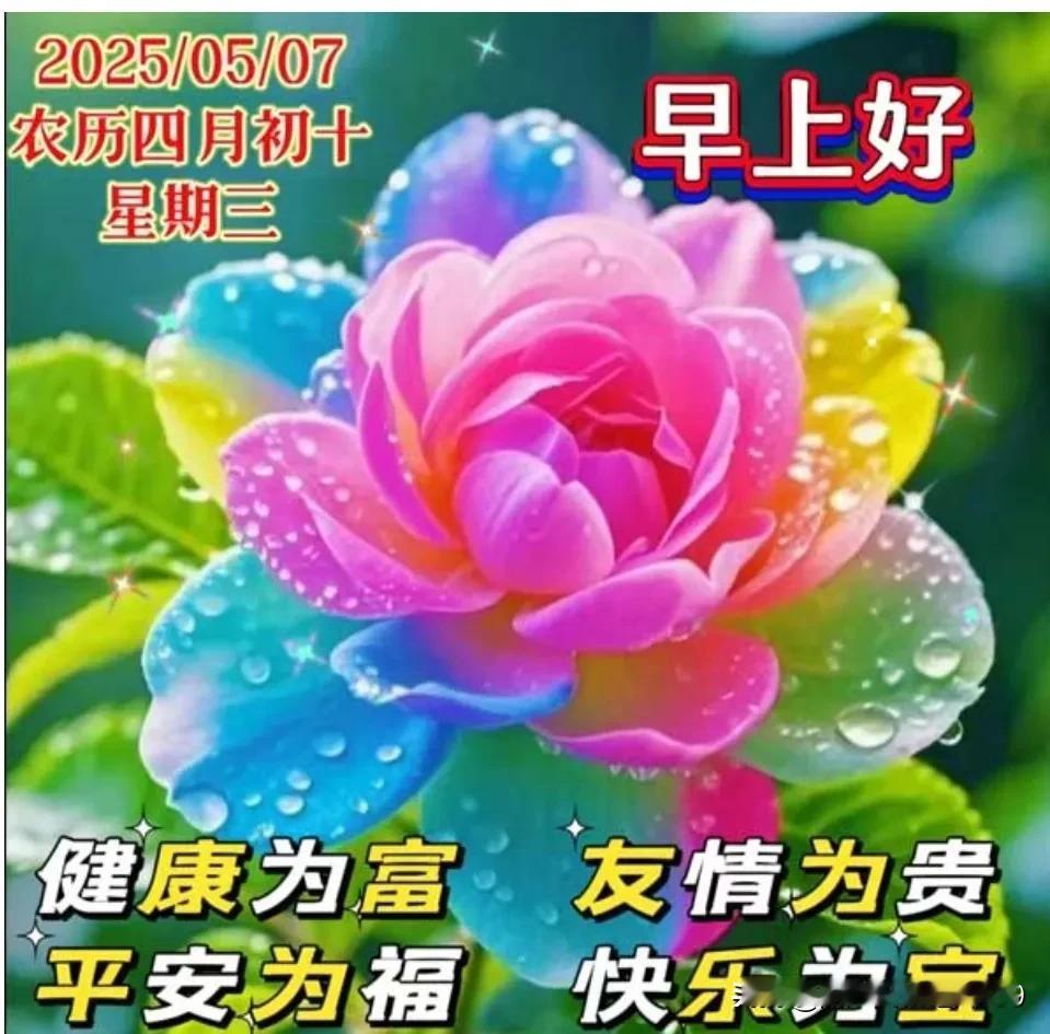 早安吉祥！美好一天；新切问候，浓浓心意；人生有缘，风雨不散；相互牵挂；胜过