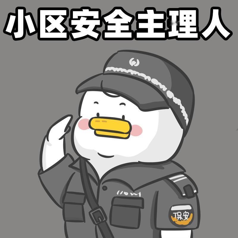 请不要叫我保安，我是小区安全主理人表情包搞笑​​​
