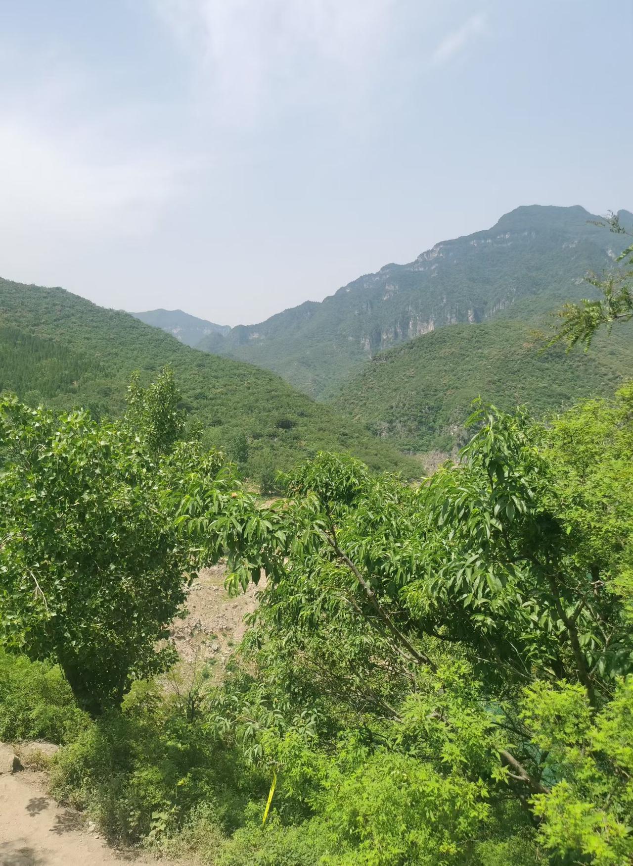 真心话茶局山风裹着草木的清香掠过，一汪碧水嵌在层峦之间，绿得像被揉碎的翡翠。岩壁