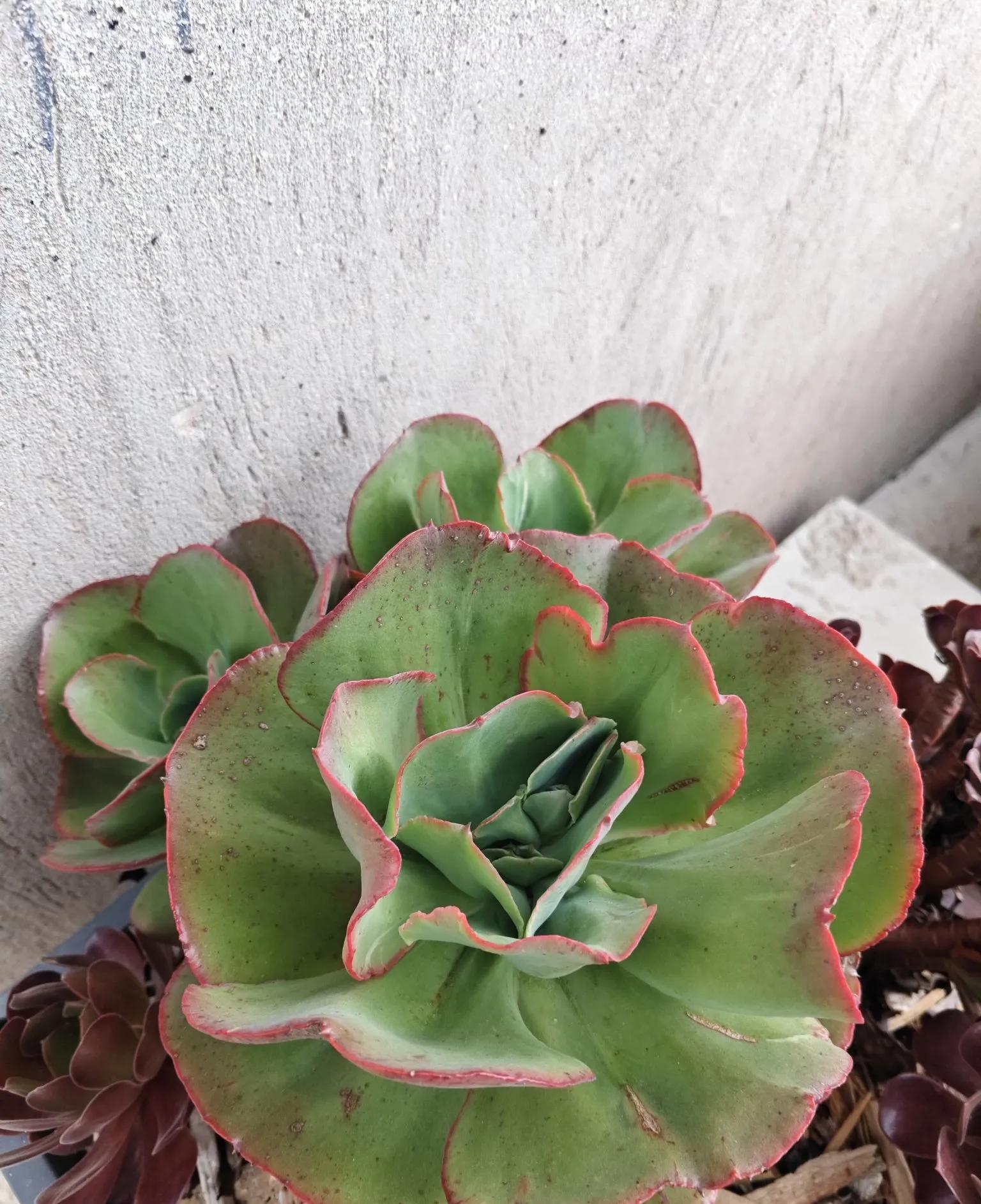 有次婆婆去照顾手术后的我，买饭去了好半天没回来，打电话说找不到楼层。这突如其