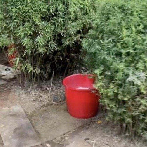 江西九江武宁县的万福广场公园因为几个“神秘尿桶”成了热议焦点。有人在社交平台发视