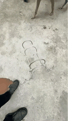 骑狗烂裤裆[笑着哭]
