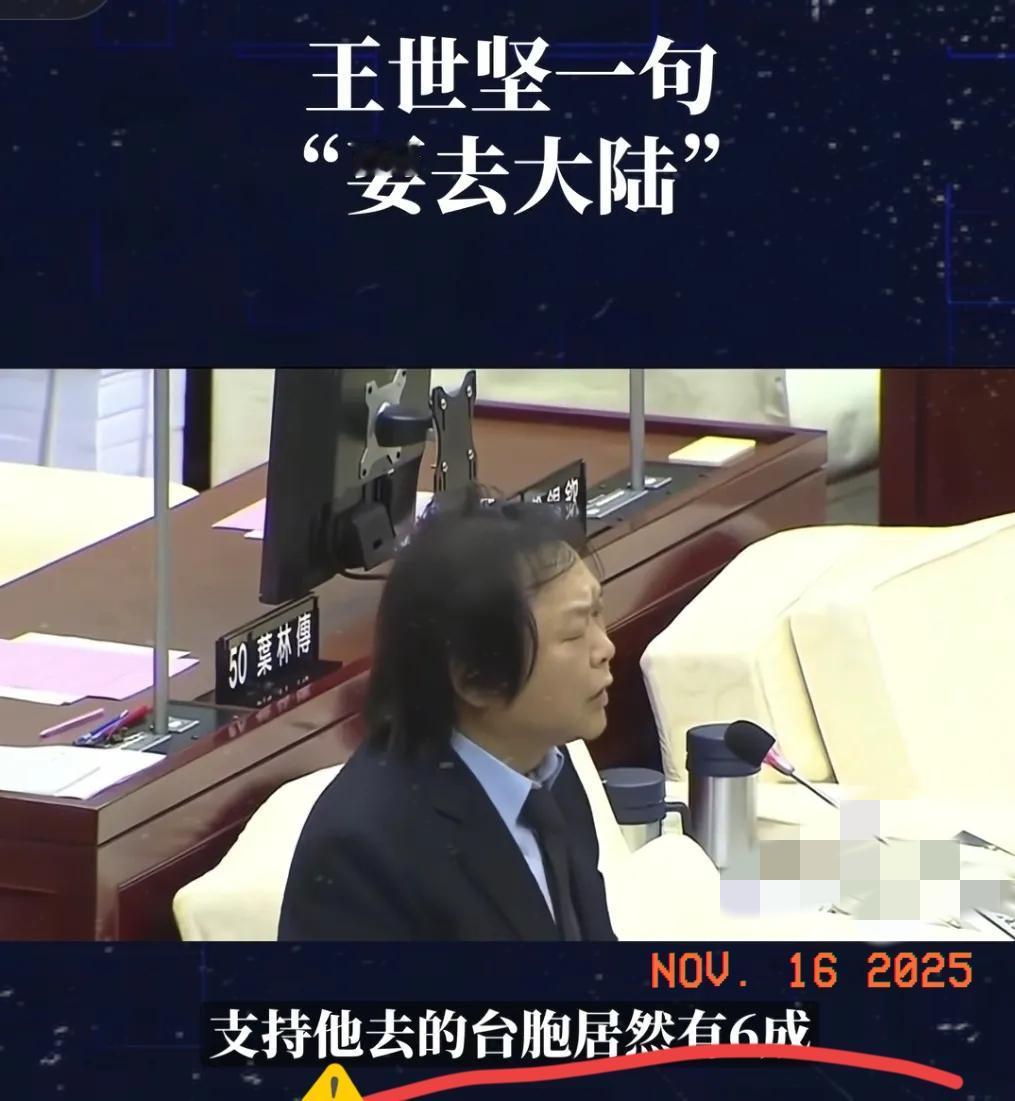 台湾王世坚这个人挺有意思的:深绿民进党，台独分子，分裂祖国，大义缺失，大德有亏，