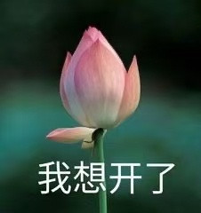 【人生】没有标准的答案，但有清醒的选择，想不开，什么都是事，想开了，也就那回事…