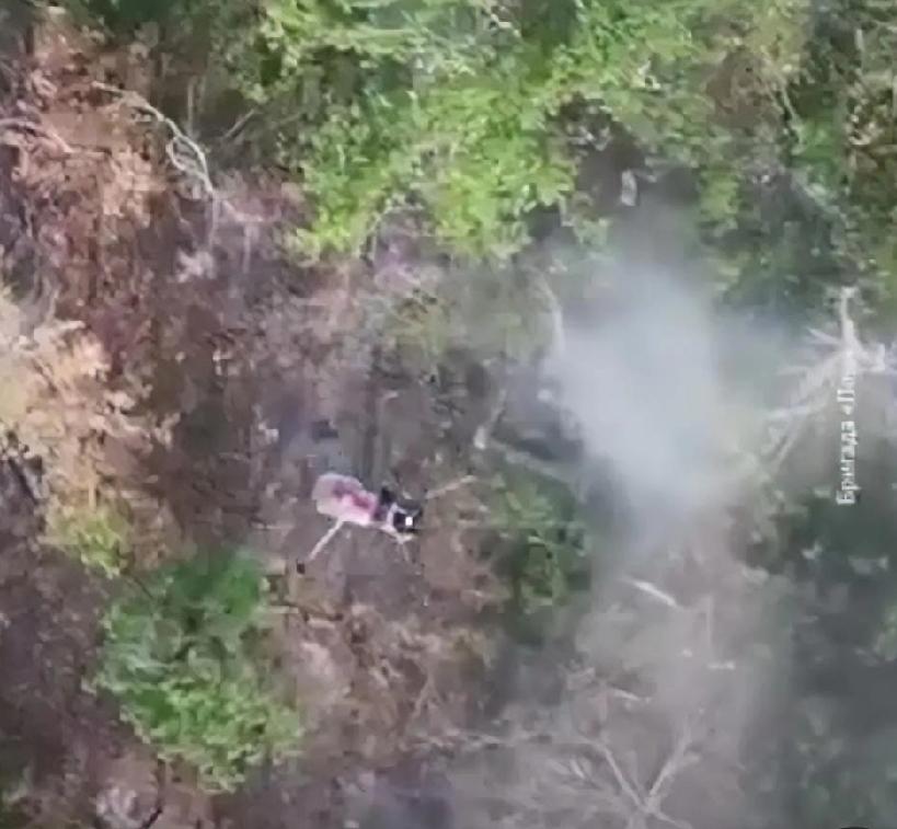 在五周的时间里，乌克兰国家边防局