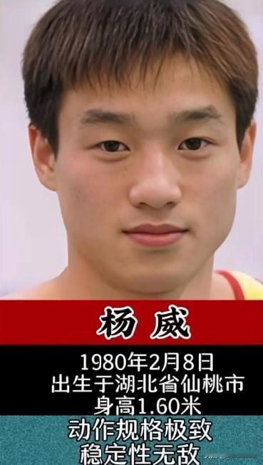 世界体操十大全能王子每一位都是时代传奇体操男子全能，是对运动员综合实力最