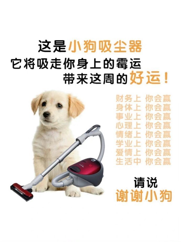 这是小狗吸尘器，它将吸走你身上的霉运​​​