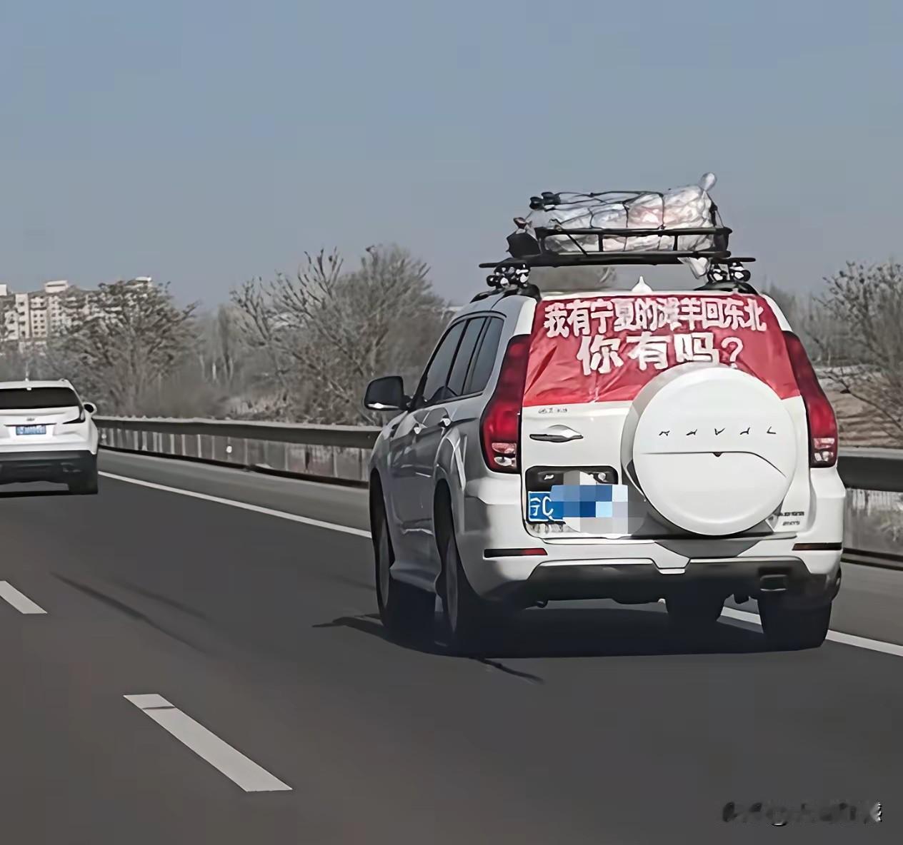 宁夏滩羊的肉质的确不错，吃着也特别的香，但是买只滩羊放在车上，也不能这么狂啊，低