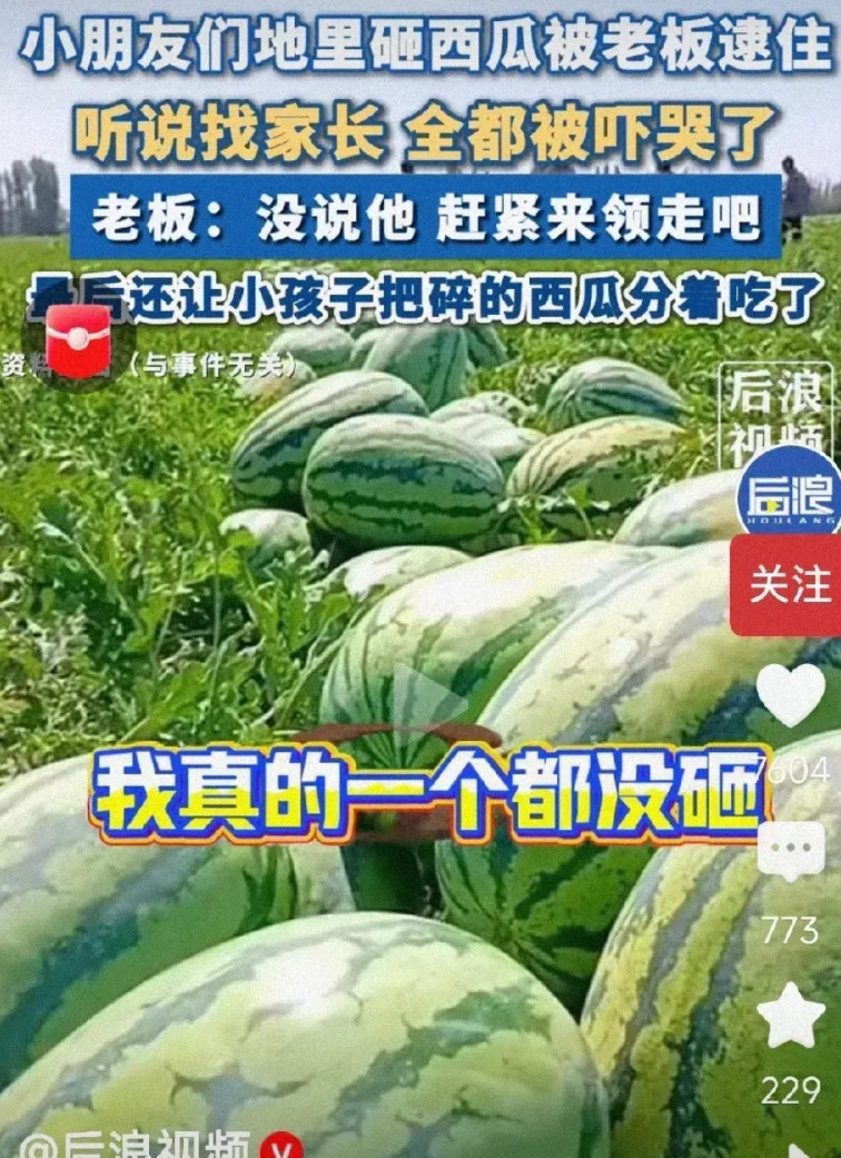 活该他发财！4个小朋友去地里嚯嚯人家西瓜，被逮住！听说叫家长，哭成一片，“我一个