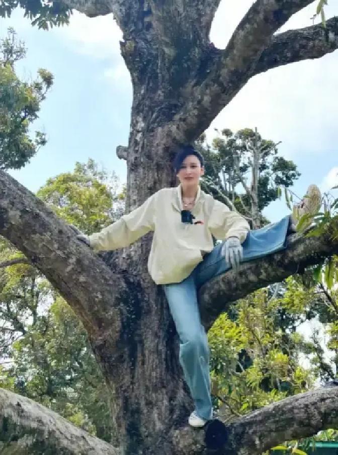 下次看到胡静夫妇摘榴莲，别再只盯着豪门八卦了。他们悄悄改写了游戏规则。