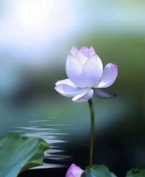 有一段话，简直就是人间清醒：“你活着的时候，没有几个人在观看，你死了以后也不会有