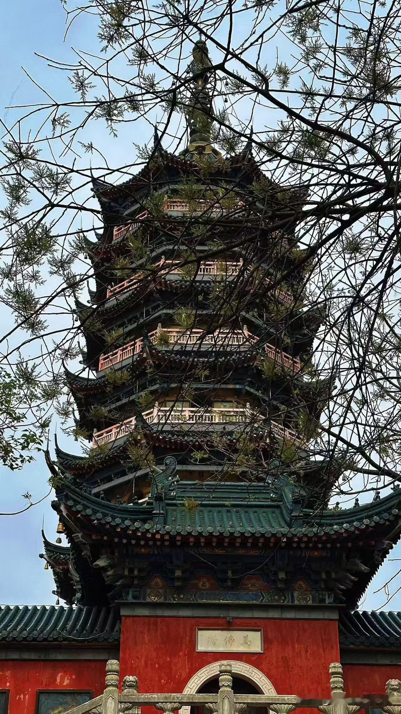 江苏镇江，逛遍千年江南古韵攻略！镇江这座藏在长江边的江南小城，古韵与烟火气拉满
