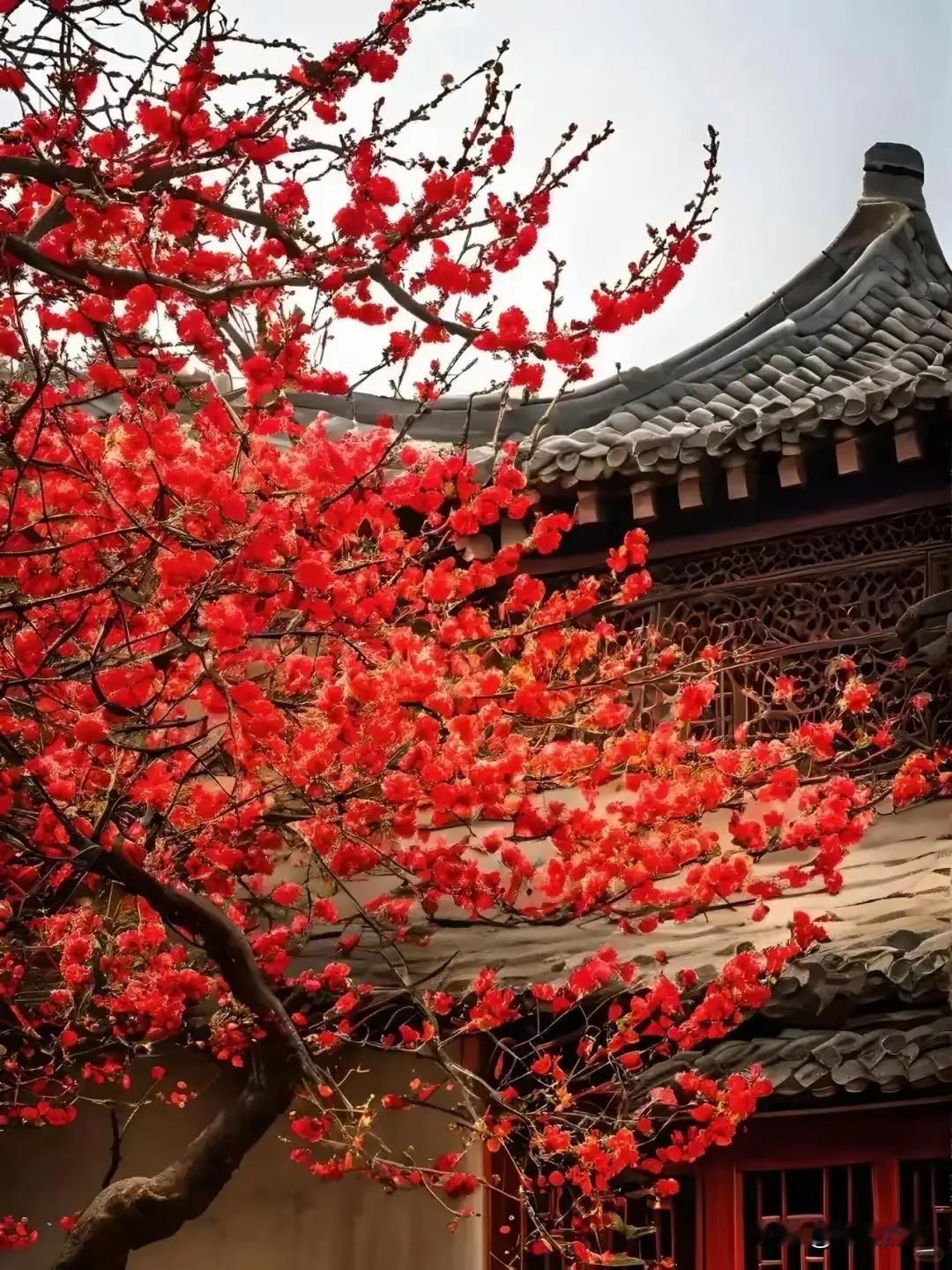 别试探人心，穷一次病一次就看清一、别去试探人心，一试全剧终人心这东西