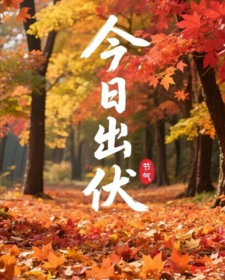 正式出伏，＂秋老虎＂来袭，更容易出现低钾低钠！最近南京市中西医结合医院的检验科