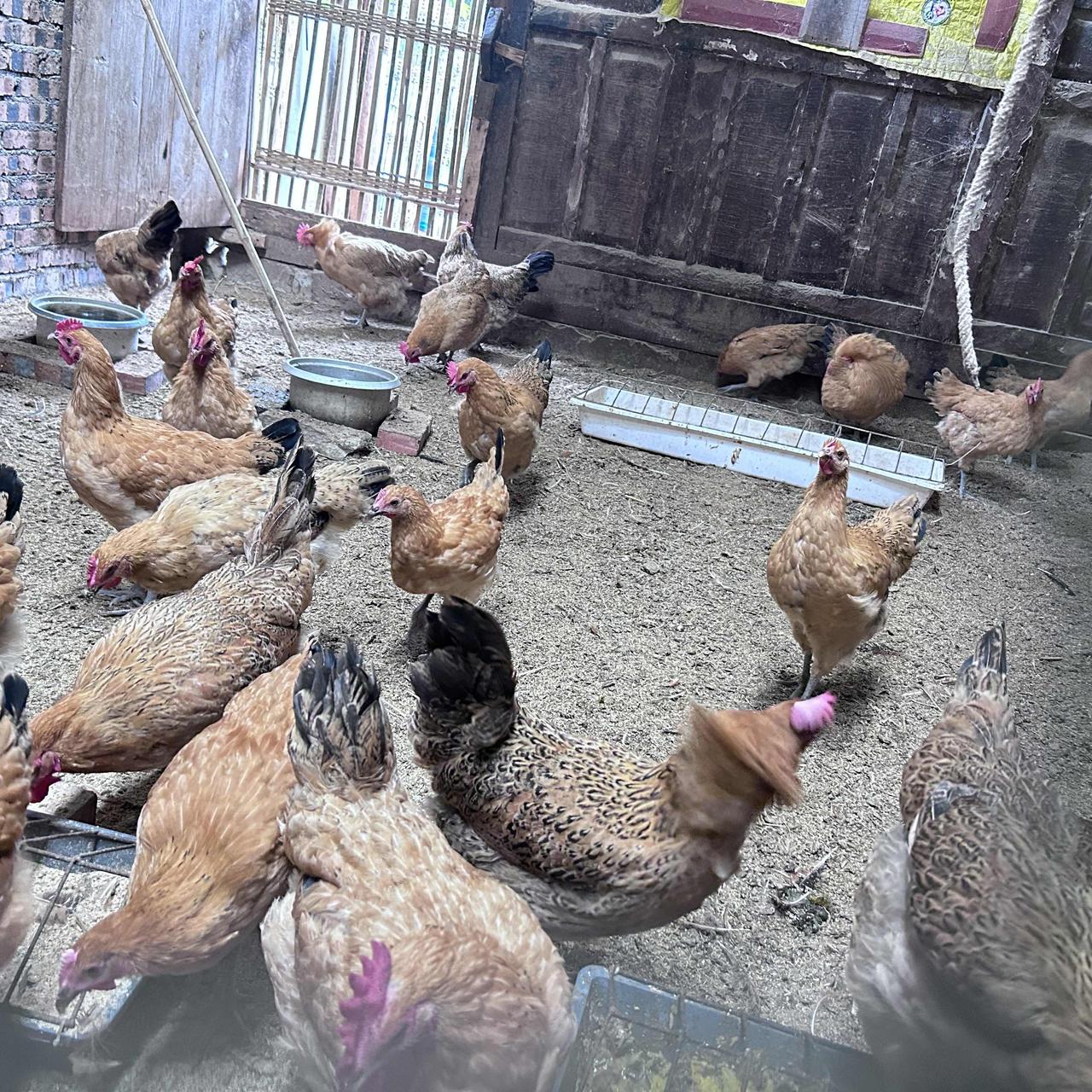 我家一年物业费3960，我一次没交，物业的律师函来了3封。我们小区物业费