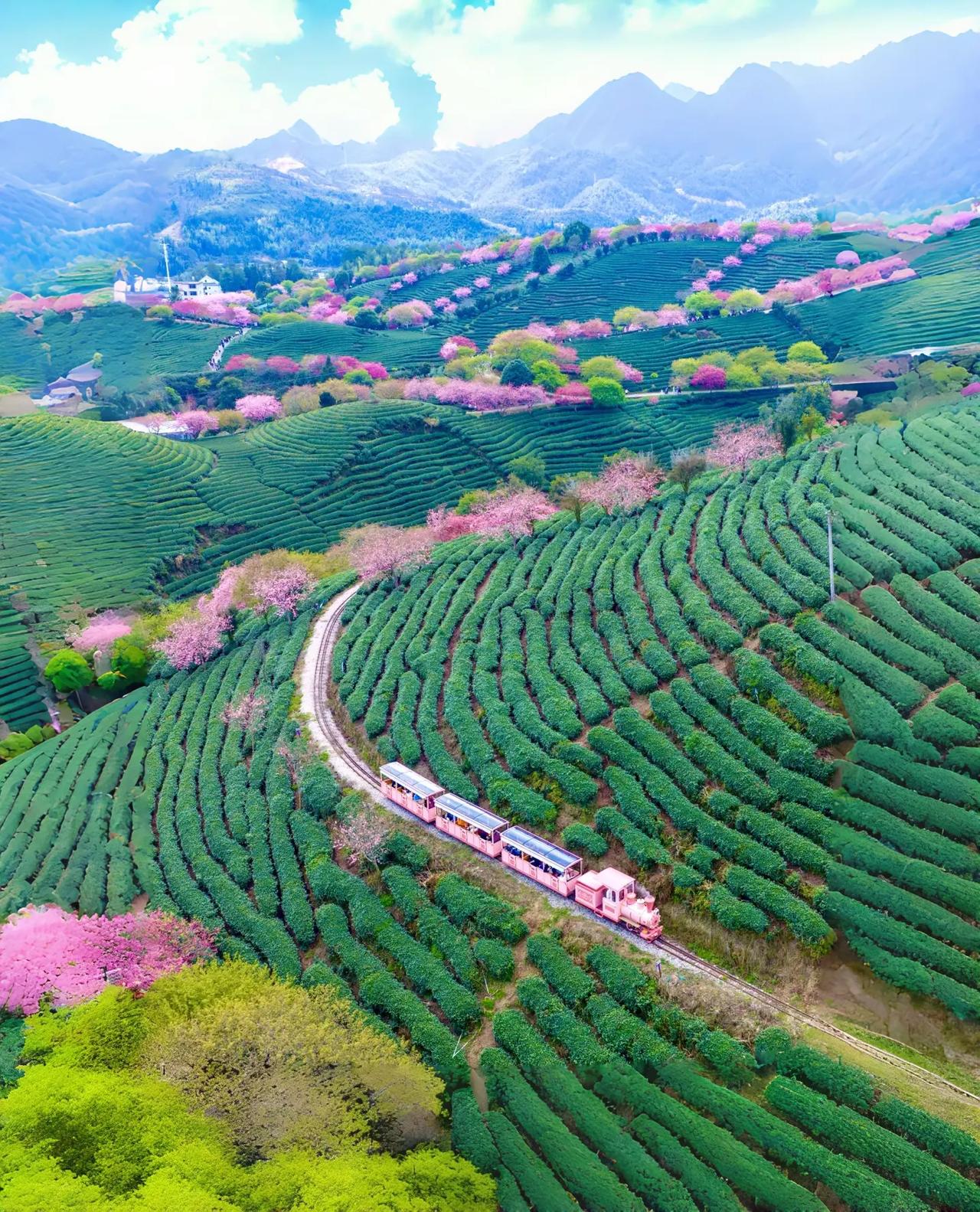 最近有一位知名高中的校长讲的这个观点，我非常赞同，尊重教师职业的文化属性，教师不