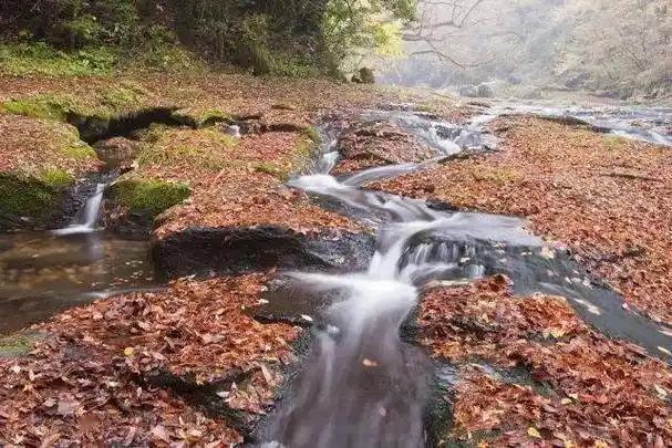 上联：溪溪山山落叶梦，下联：沟沟河河云水情，下联：枫枫叶叶晚霞诗。