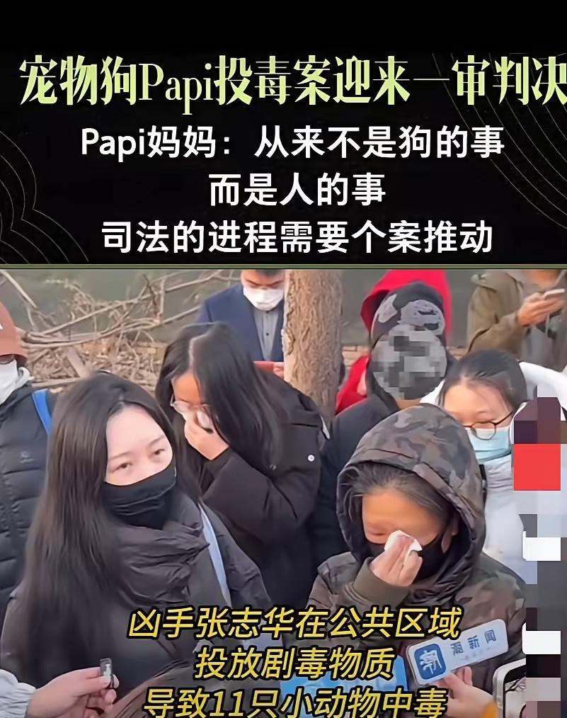 10位狗主人在法庭外哭得肩膀都在抖，手里的纸巾根本兜不住眼泪，路过的人还以为出了