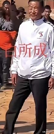 白所成一夜五份死刑，判决书上只有二儿子白应苍，和老爹白所成。一夜之间，这个家族灭