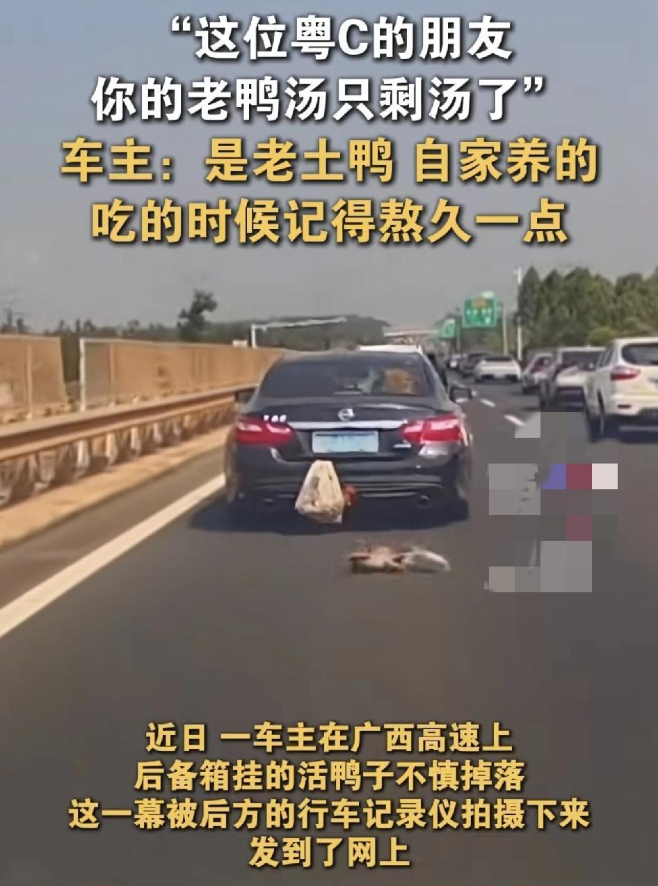 过年返程，大家的后备箱都被长辈们塞满了各种年货吧，在广西高速公路上，一辆车牌为粤