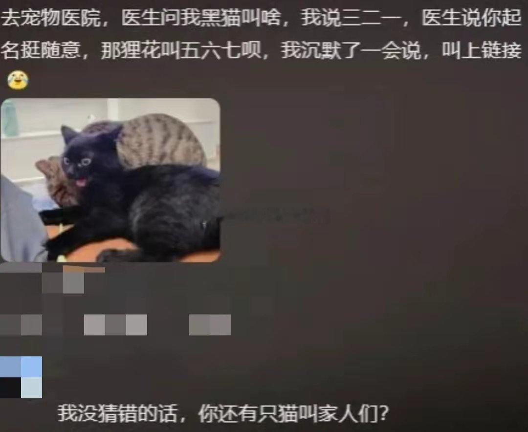 00后给宠物取名已经颠到了这种程度吗？😂😂​​​