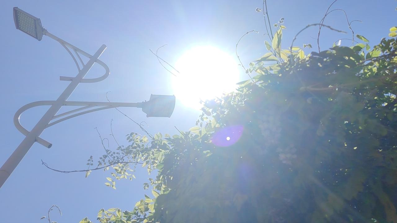 棋道易理：方寸之间的阴阳变易棋盘一展，楚河汉界横亘中央。红黑两军隔水对峙，看