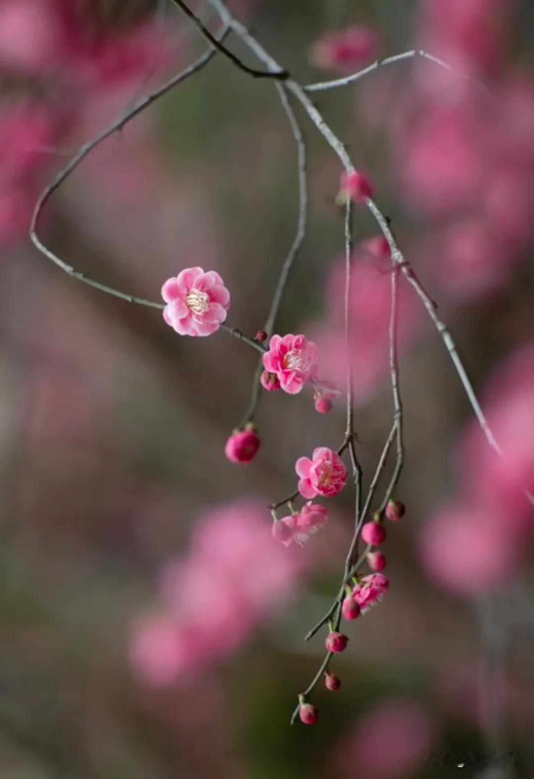 五十岁以后，不管你有多少存款，也别做以下4件糊涂事!1、别再执念过去，往前