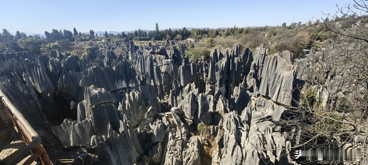 石林峥嵘独特美，怪石奇观映青天。