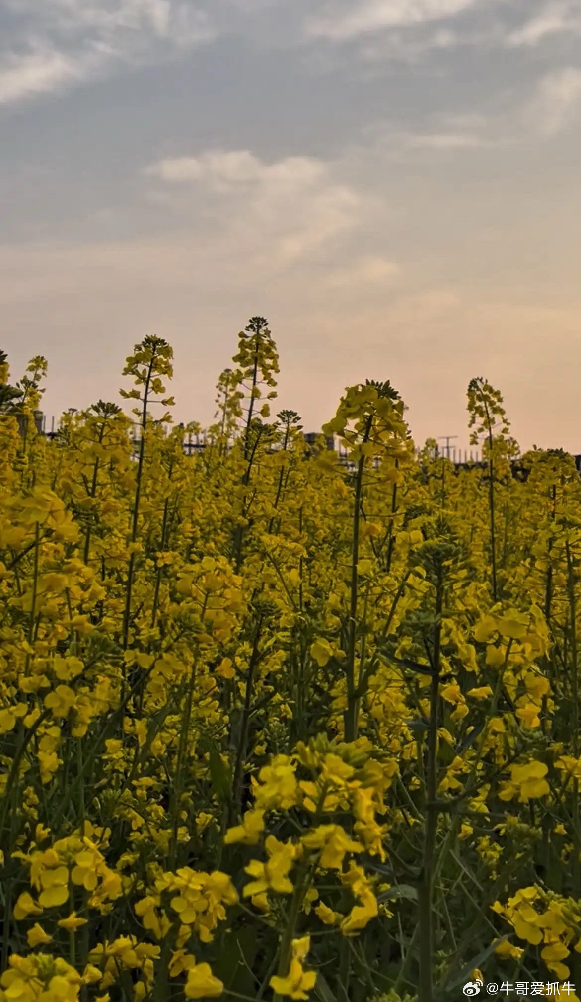 世界上最好的15个免费医生1、第一，早睡不用花一分钱，却能修复你一天的疲惫，手机
