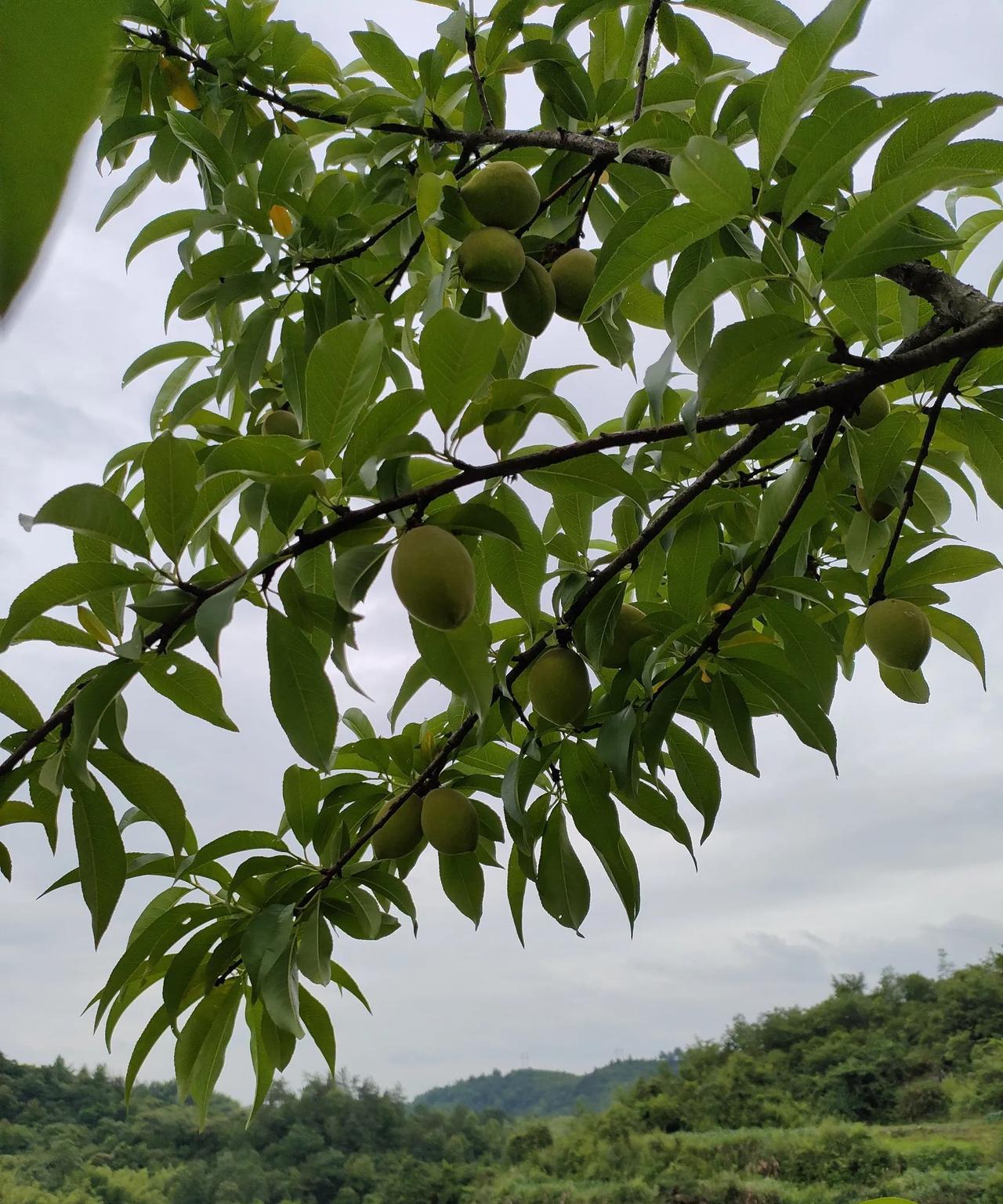 在单位，要想让领导看得起，不懂这些，能力再强也白搭:1，领导喜欢最让人省心的