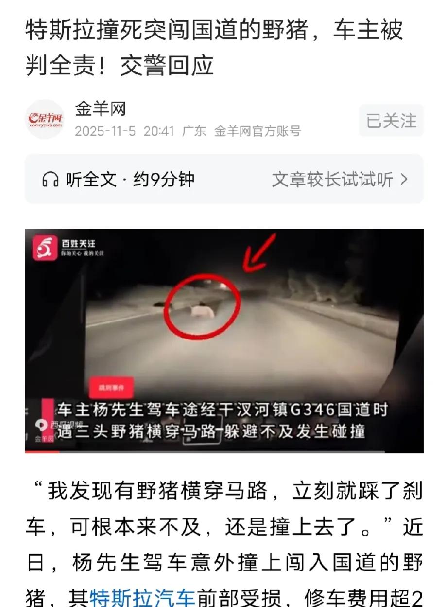 安徽六安，男子开着特斯拉汽车行驶在高速路上，突然，3头野猪闯入公路，男子来不及躲