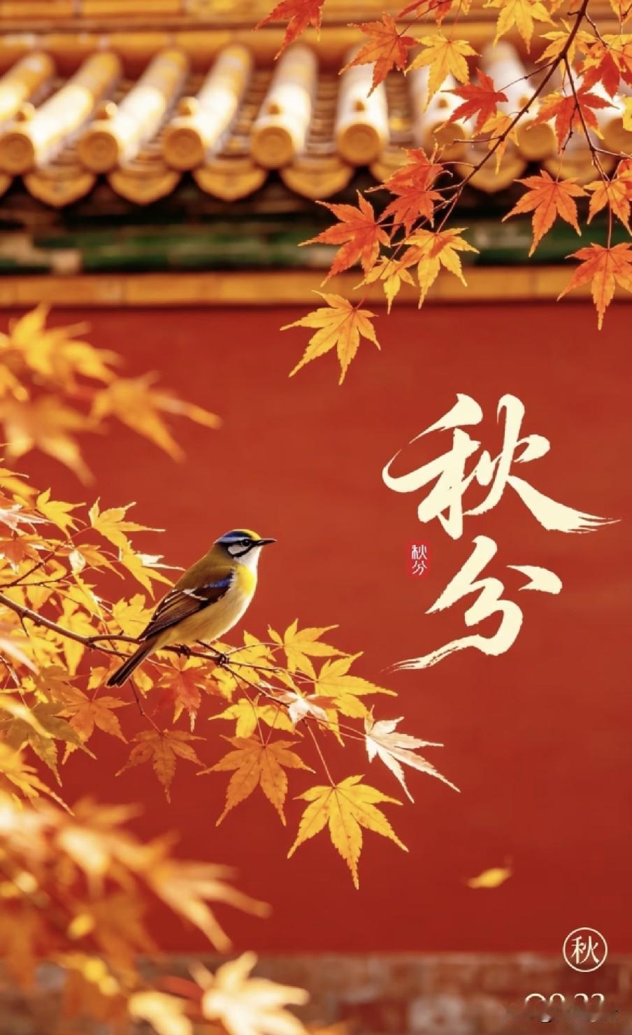 今日秋分是“凶日”，牢记：1不赶、2不做、3不晚、4不碰民间俗语云“秋分寒