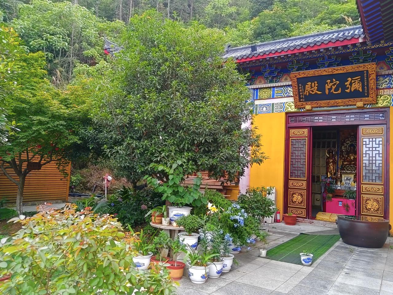 现在想出家也挺难，条件非常苛刻！跟三教九流的职业一样，都要凭证上岗。趁着端午节