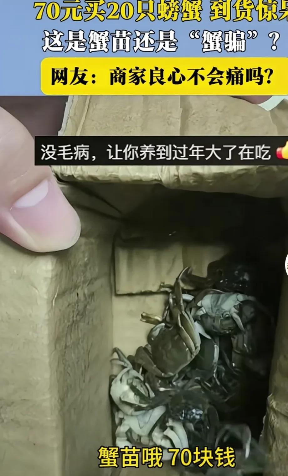 浙江，女子吐槽，花了70元网购买了20只螃蟹，到货后气坏了！女子展示给