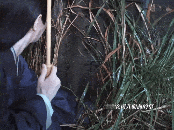 这剧咋连狗都有演技狗狗的表演没有技巧，只有真情。大黄用最本能的反应回应成毅的悲