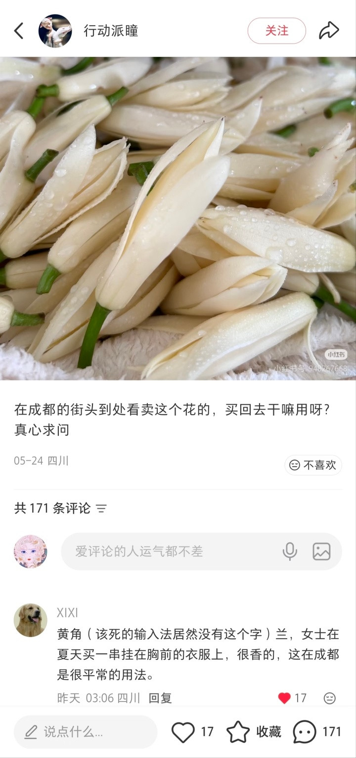 四川人真的很古风小生