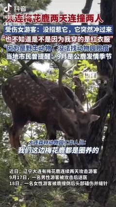 “冤吗？”辽宁大连，一女子去动物园游玩，经过一头卧着的梅花鹿时，它突然起身朝着女