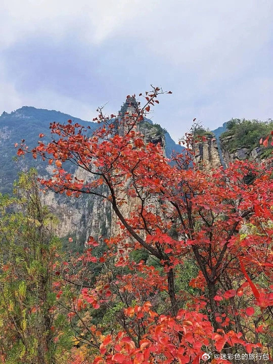 神农山红叶季10月17日启幕！四大主题周+多重免票福利，太行秋景直接