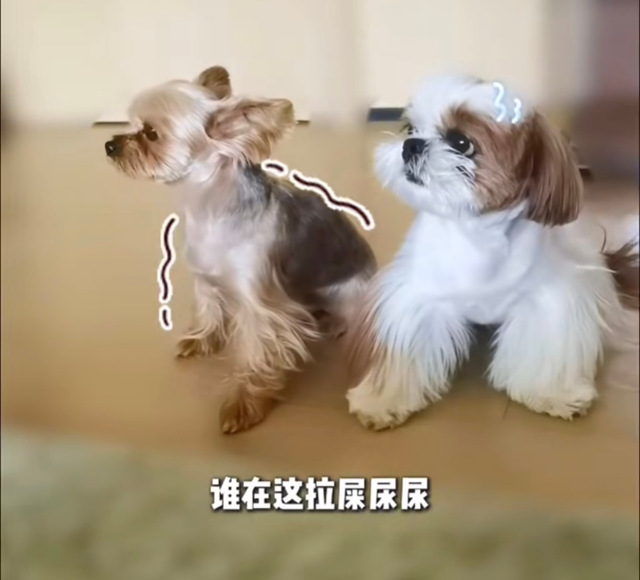 立秋：抱歉了父亲