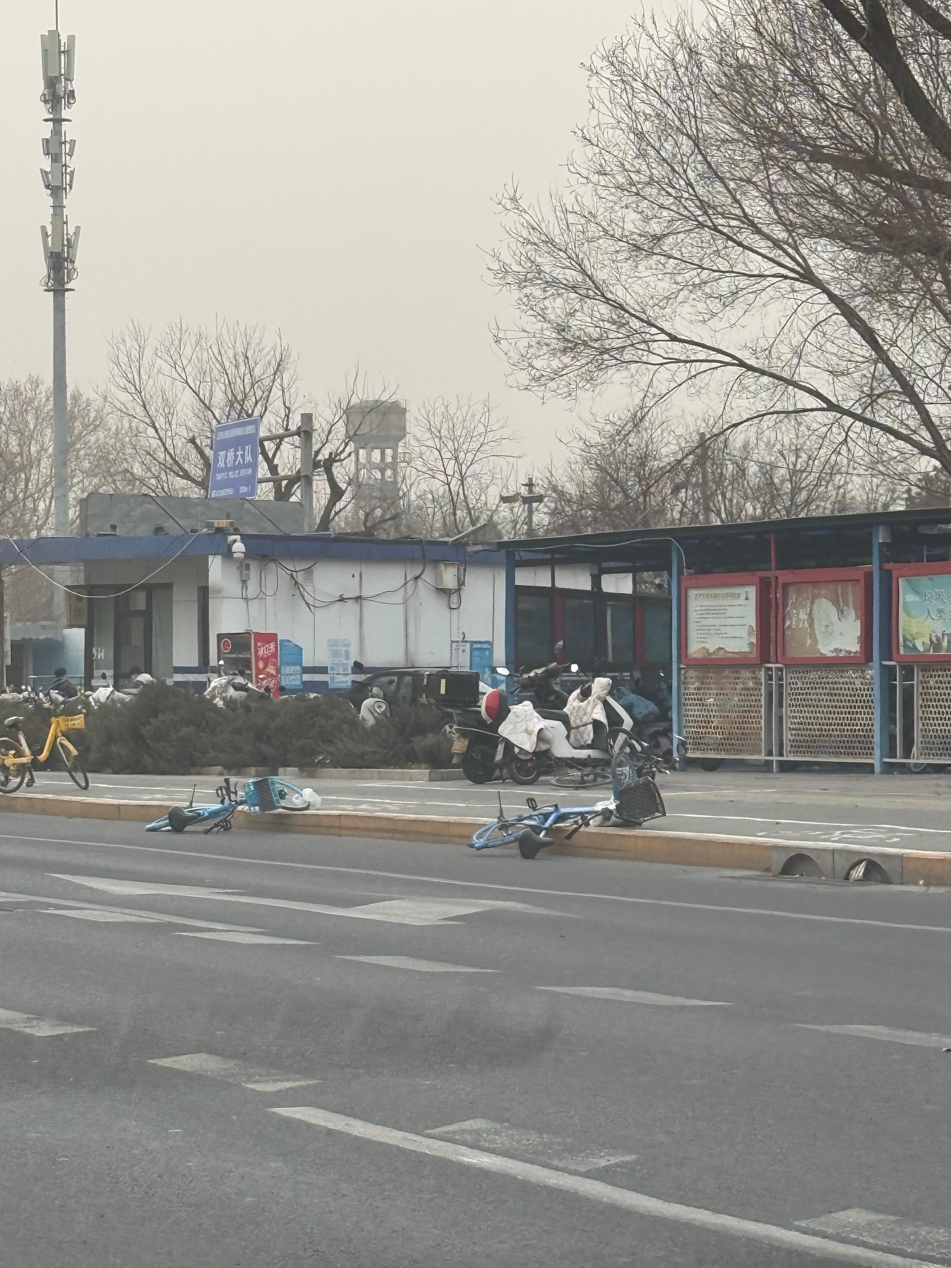 自行车，树杈子都吹飞了～沙尘暴北京沙尘暴