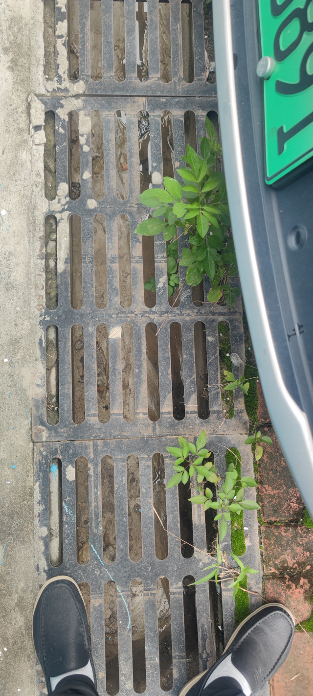 一年多电动尾门螺丝掉了2个开了一年多点，总里程1万6千，市区工况。刚做完2保没