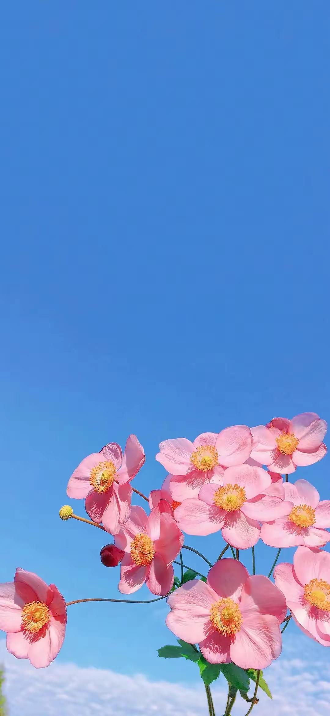 哲学家说：“如果活着不是为了快乐，那长命百岁还有什么意义呢？所以，在无法重来