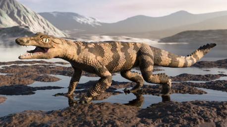 走进恐龙公园侏罗纪世界 恐龙模型展览玩具
