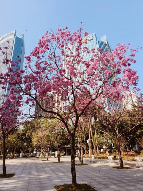 人过六十才明白，晚年最大的靠山，竟然不是儿女。这话听起来有点扎心，但仔细琢磨，全