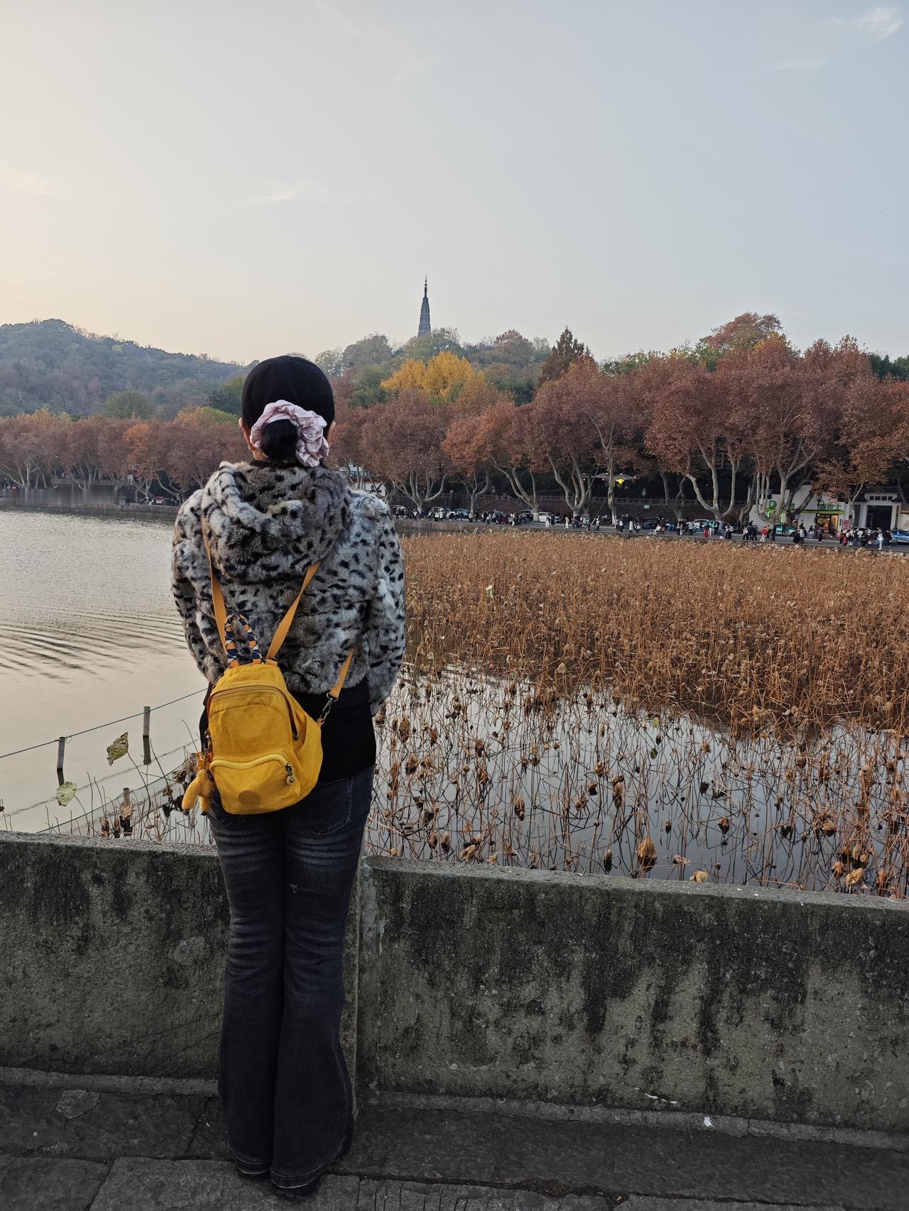 夕阳之下，冬日的西湖断桥美景一览无余，美的不可描述，只有用内心去感受！湖中焦