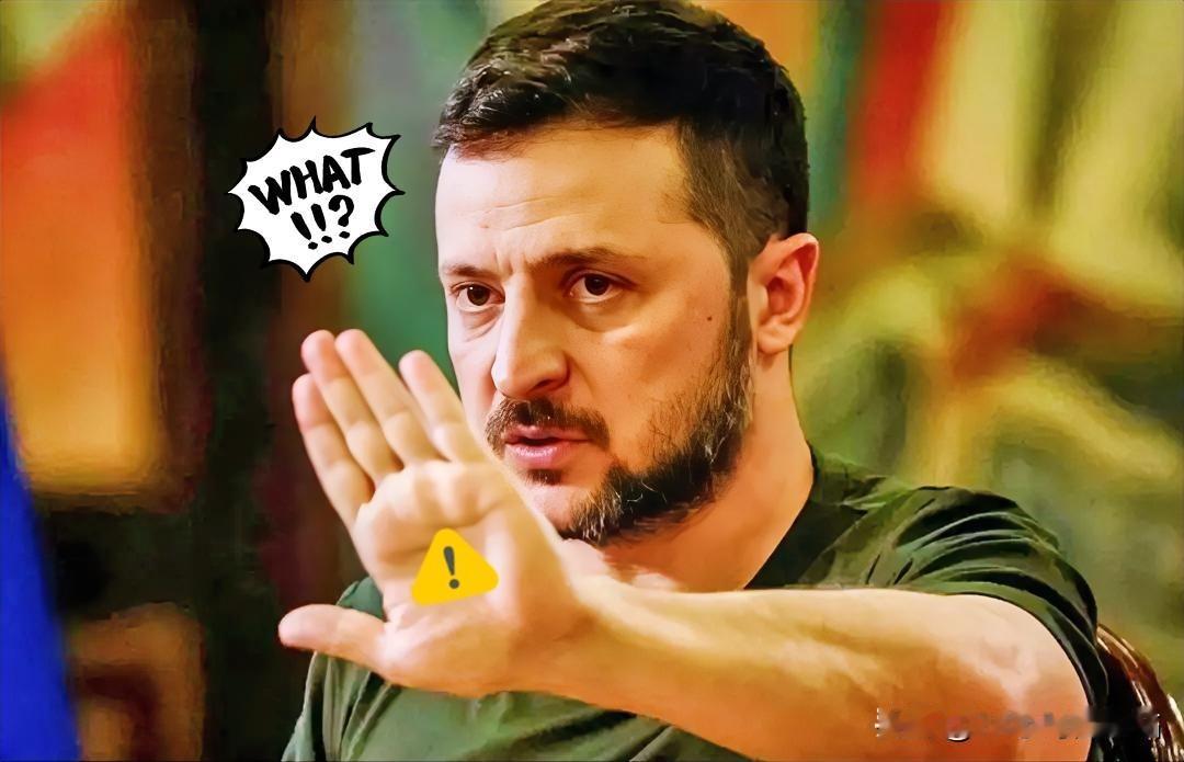 乌克兰消息！泽连斯基证实了！当地时间12月9日，乌克兰总统泽连斯基证实，已