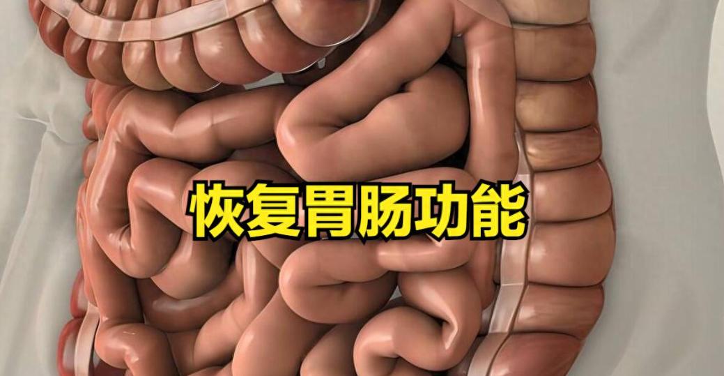 恢复胃肠自愈能力，记住这8个步骤就够了！不花钱养好自己的肠胃胃痛胃胀反酸这些