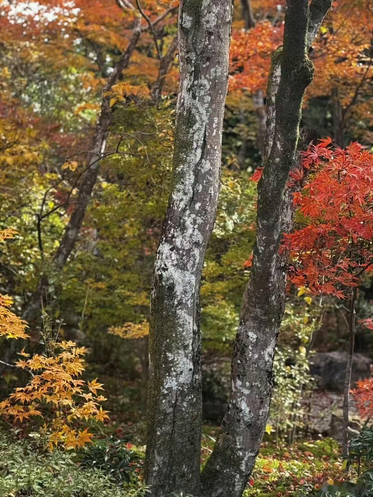 特别糟心的一句话:“你孩子进不了好单位，不是孩子不行，而是你不行。你孩子找不到